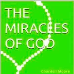 THE MIRACLE OF GOD (Book)